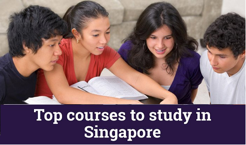 Courses to Study in Singapore