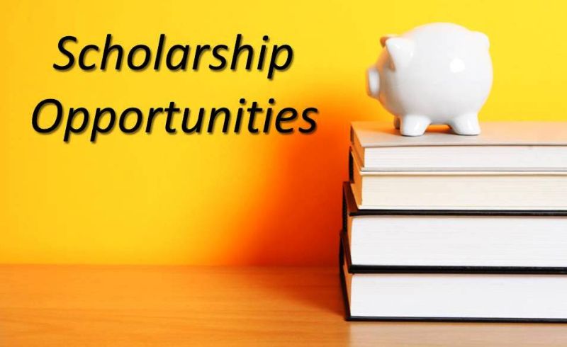 Scholarships and PhD Updates