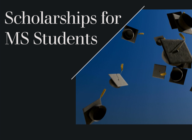 scholarship for MS students